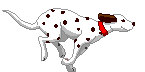 dog.gif